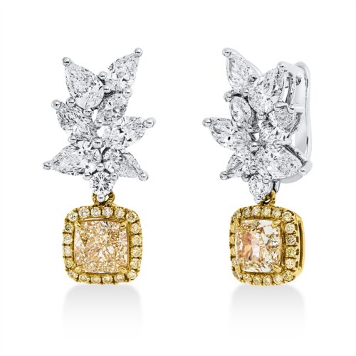 Ohrschmuck Farbiger Diamant