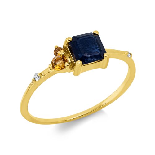 Ring Farbstein Classic