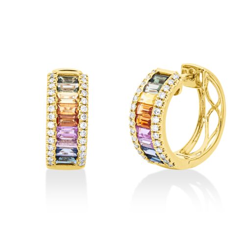 Creolen Rainbow & Multicolor