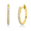 Material: gelbgold – Creolen Modern Woman