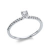 Material: weissgold – Ring Solitaire mit Besatz